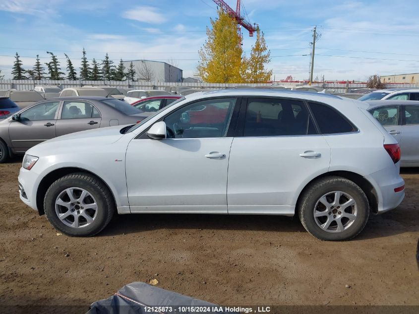 2013 Audi Q5 VIN: WA1WFCFP4DA031115 Lot: 12125873