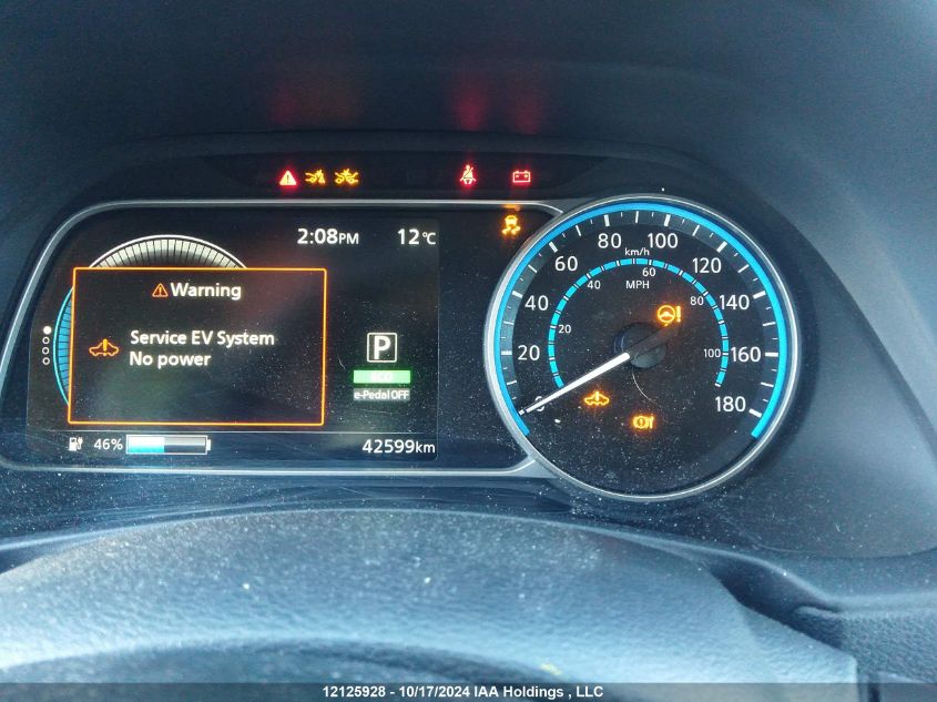 2020 Nissan Leaf VIN: 1N4BZ1CP5LC303488 Lot: 12125928