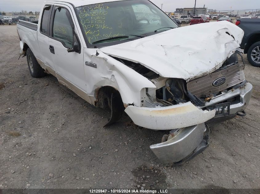 2005 Ford F150 VIN: 1FTPX14585NA35160 Lot: 12125947