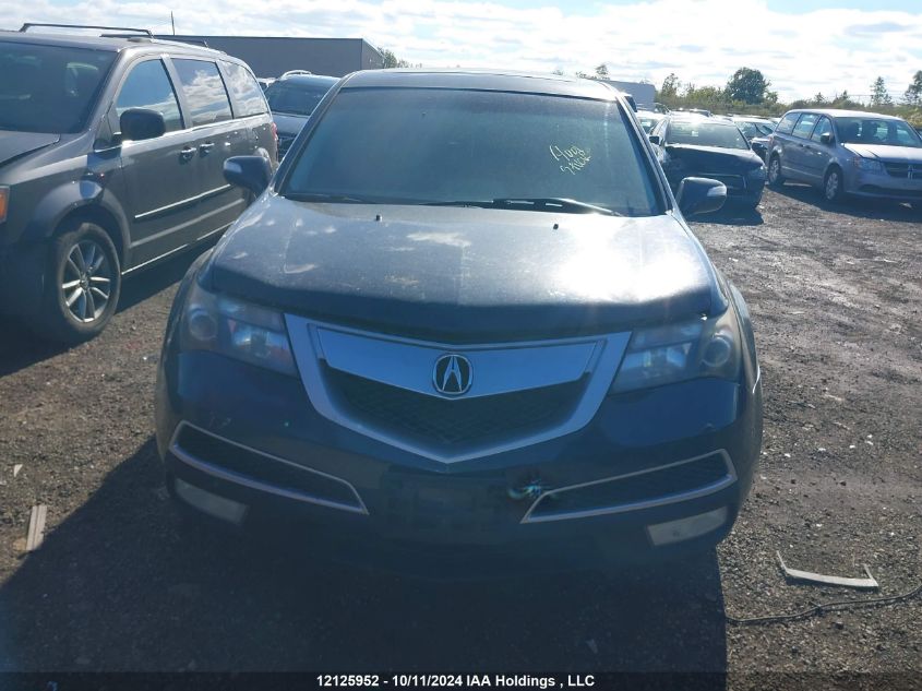 2010 Acura Mdx VIN: 2HNYD2H64AH001736 Lot: 12125952