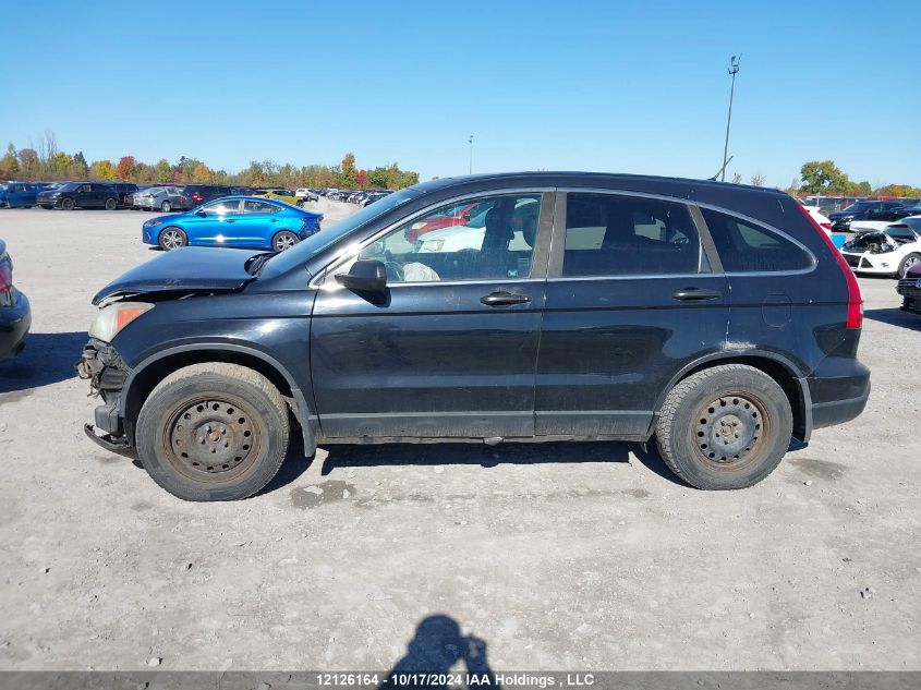 2008 Honda Cr-V VIN: 5J6RE48598L800915 Lot: 12126164