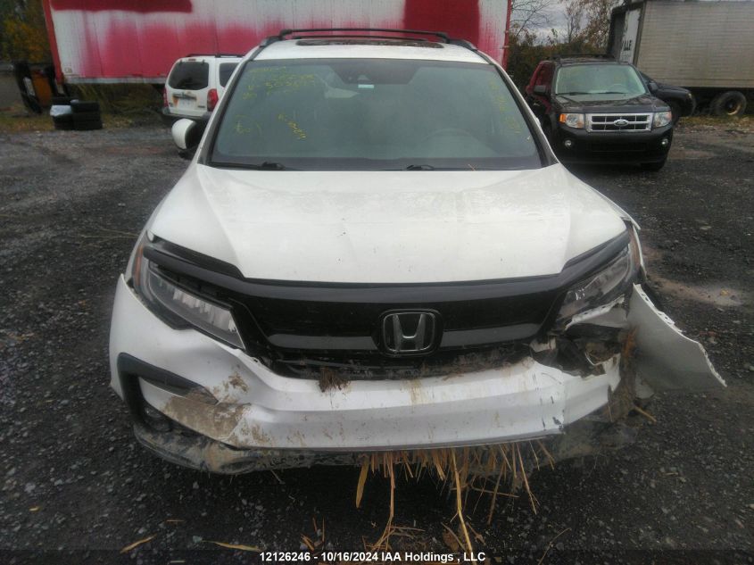 2020 Honda Pilot VIN: 5FNYF6H02LB503849 Lot: 12126246