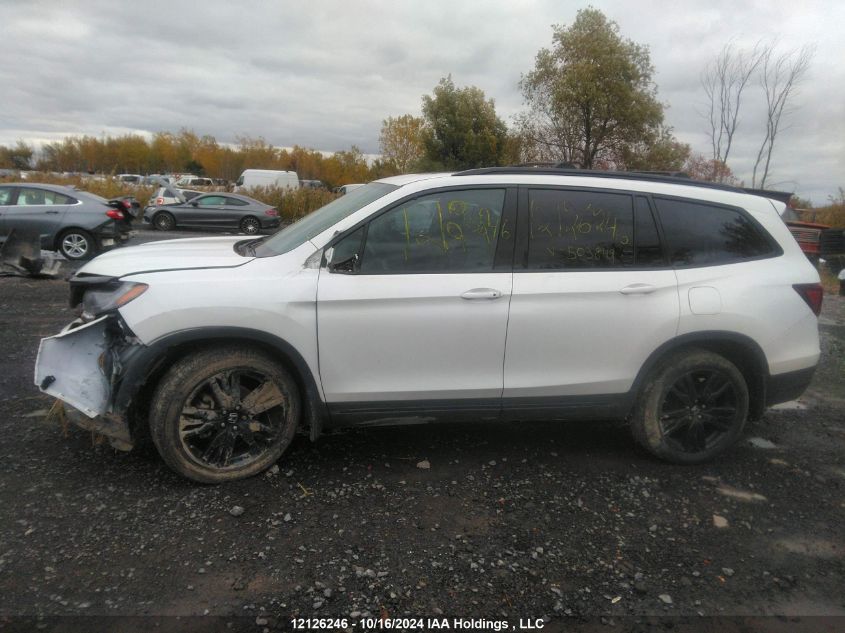 2020 Honda Pilot VIN: 5FNYF6H02LB503849 Lot: 12126246