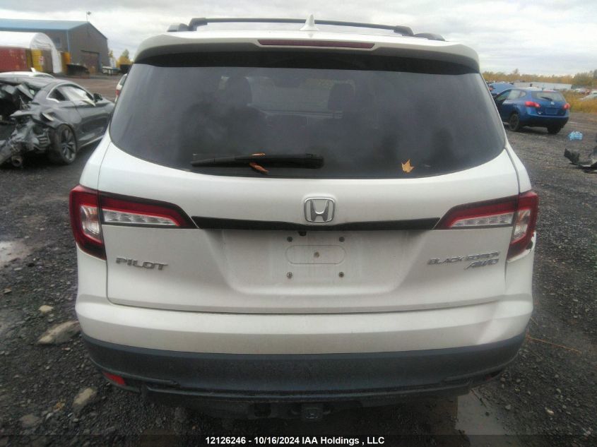 2020 Honda Pilot VIN: 5FNYF6H02LB503849 Lot: 12126246