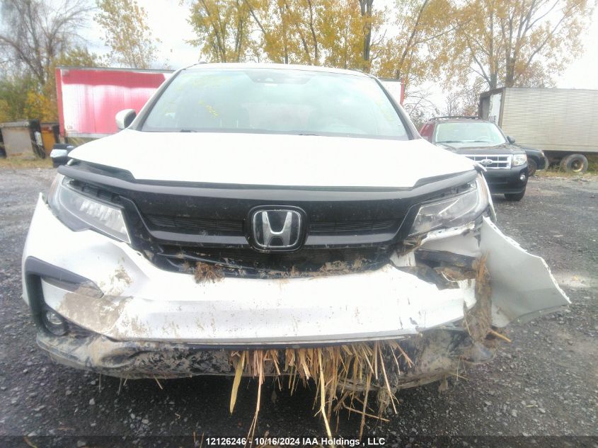 2020 Honda Pilot VIN: 5FNYF6H02LB503849 Lot: 12126246