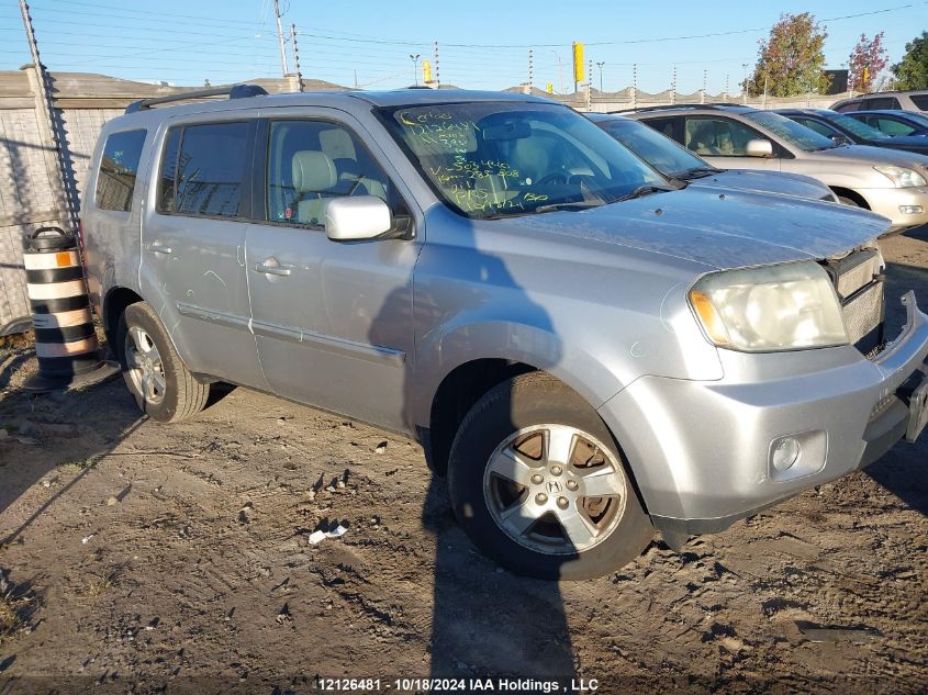 2011 Honda Pilot VIN: 5FNYF4H62BB503440 Lot: 12126481