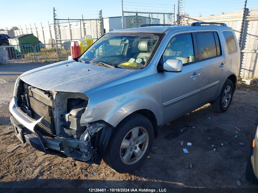 2011 Honda Pilot VIN: 5FNYF4H62BB503440 Lot: 12126481