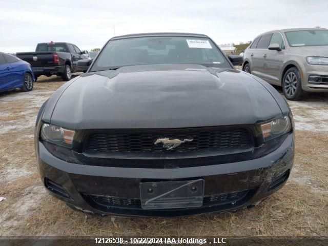 2012 Ford Mustang VIN: 1ZVBP8EM8C5286425 Lot: 12126538