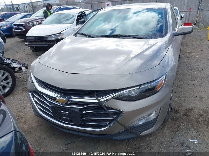 2023 Chevrolet Malibu Lt VIN: 1G1ZD5ST6PF250665 Lot: 12126599