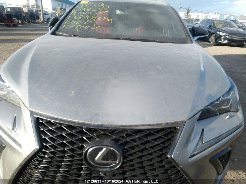 2019 Lexus Nx 300 Base/300 F Sport VIN: JTJBARBZXK2198595 Lot: 12126633