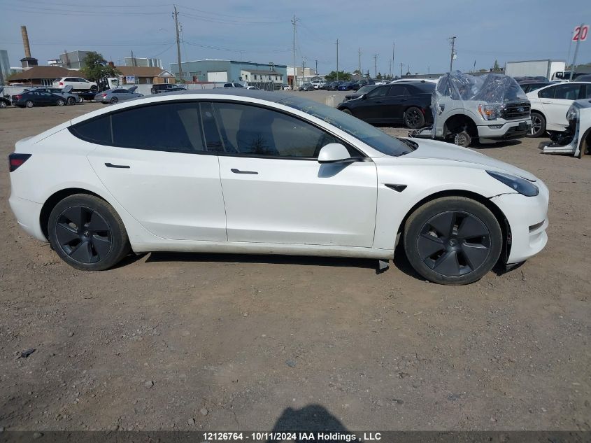 2023 Tesla Model 3 VIN: LRW3E1FA8PC843342 Lot: 12126764