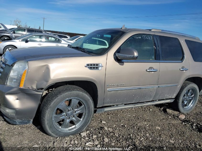 2007 Cadillac Escalade VIN: 1GYFK63887R318490 Lot: 12126807