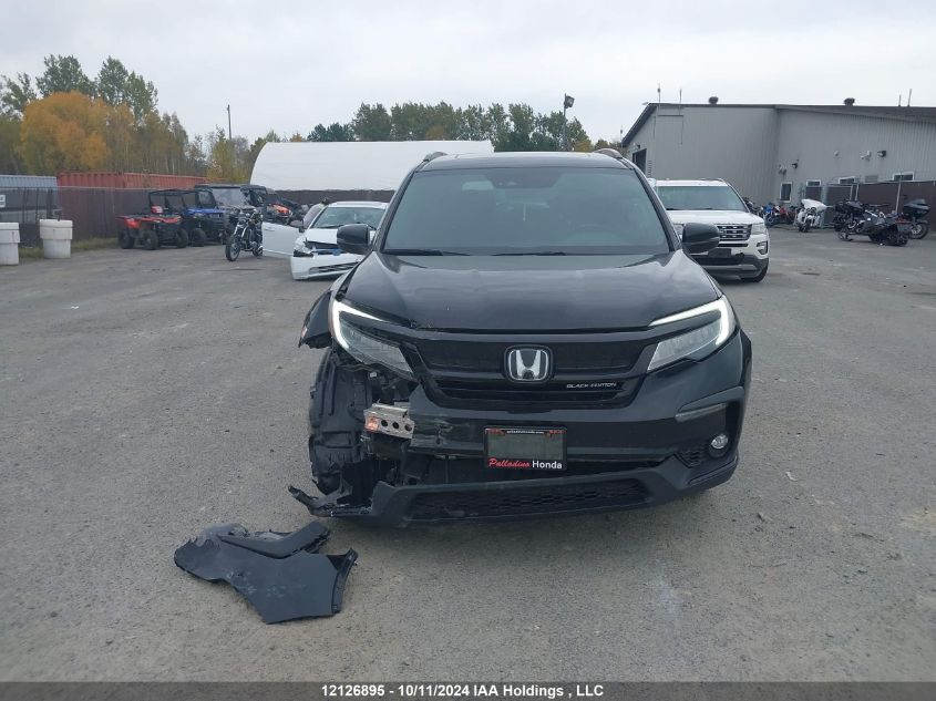 2019 Honda Pilot VIN: 5FNYF6H00KB505257 Lot: 12126895