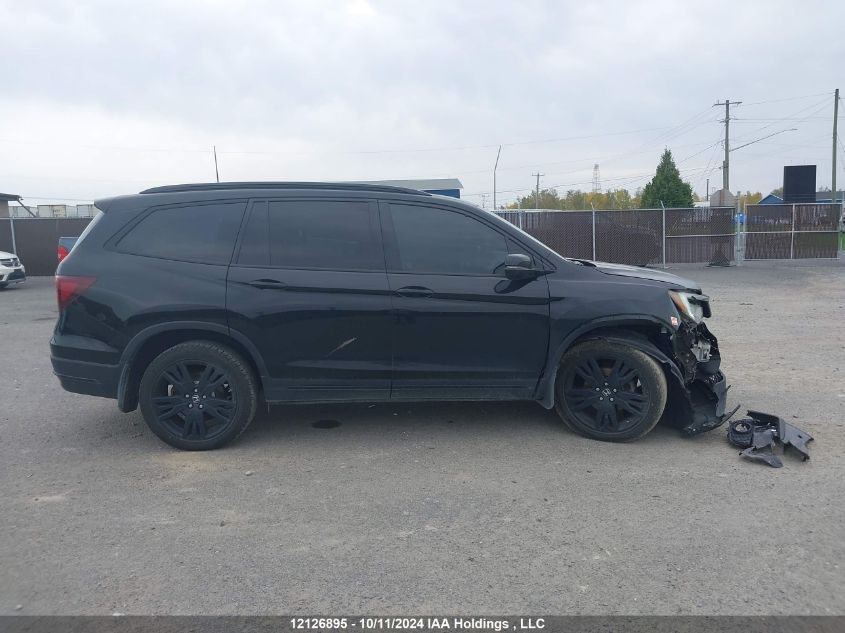 2019 Honda Pilot VIN: 5FNYF6H00KB505257 Lot: 12126895