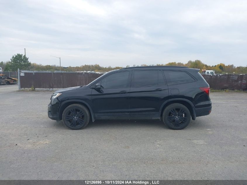 2019 Honda Pilot VIN: 5FNYF6H00KB505257 Lot: 12126895