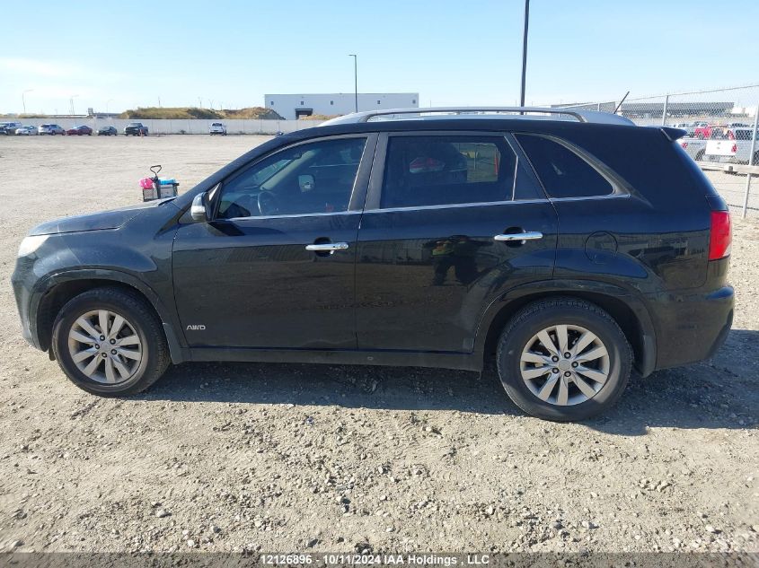 2013 Kia Sorento VIN: 5XYKWDA28DG369686 Lot: 12126896