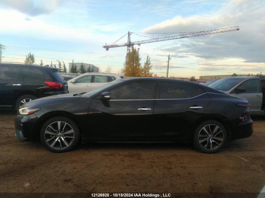 2019 Nissan Maxima VIN: 1N4AA6AV8KC368335 Lot: 12126928