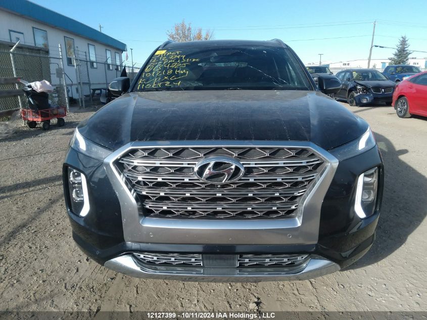 2020 Hyundai Palisade VIN: KM8R5DHE9LU134725 Lot: 12127399