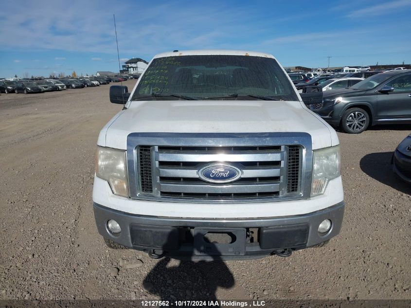 2011 Ford F-150 Xlt VIN: 1FTFW1EF6BFD17518 Lot: 12127562