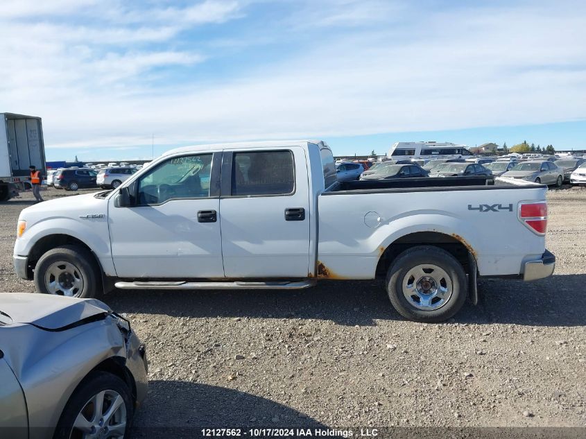 2011 Ford F-150 Xlt VIN: 1FTFW1EF6BFD17518 Lot: 12127562