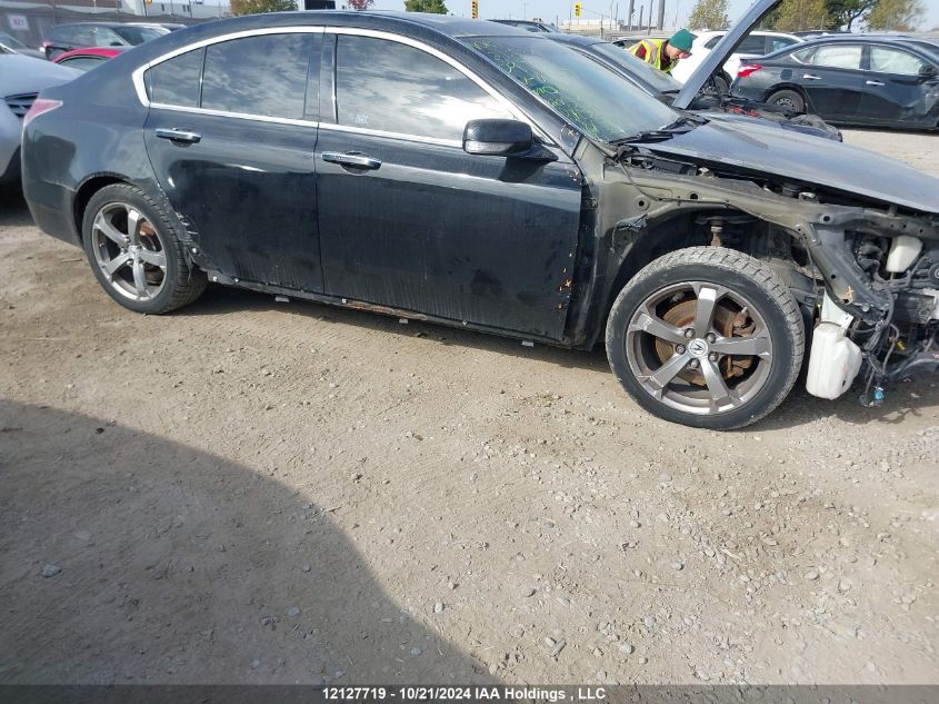 2009 Acura Tl VIN: 19UUA96559A800307 Lot: 12127719