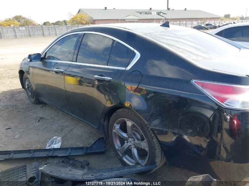 2009 Acura Tl VIN: 19UUA96559A800307 Lot: 12127719