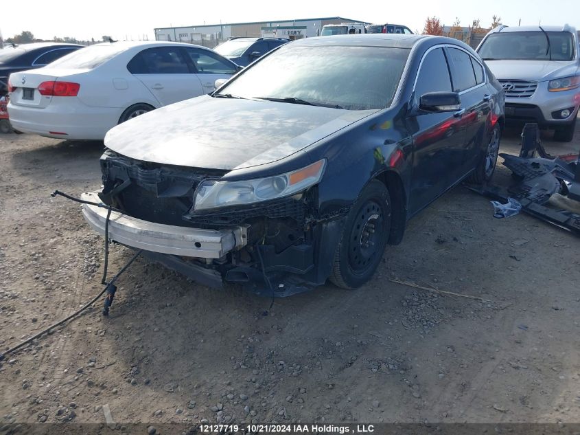 2009 Acura Tl VIN: 19UUA96559A800307 Lot: 12127719