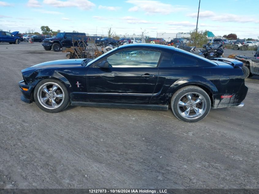 2006 Ford Mustang VIN: 1ZVFT80N465200982 Lot: 12127873