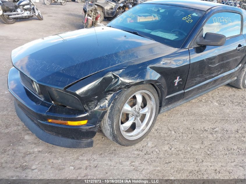 2006 Ford Mustang VIN: 1ZVFT80N465200982 Lot: 12127873