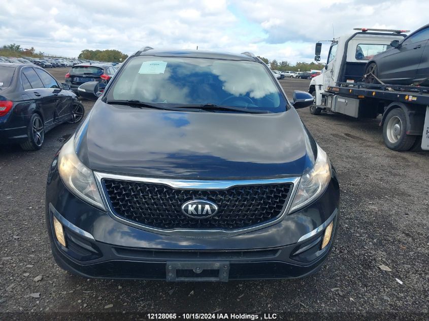 2014 Kia Sportage VIN: KNDPB3AC2E7648182 Lot: 12128065