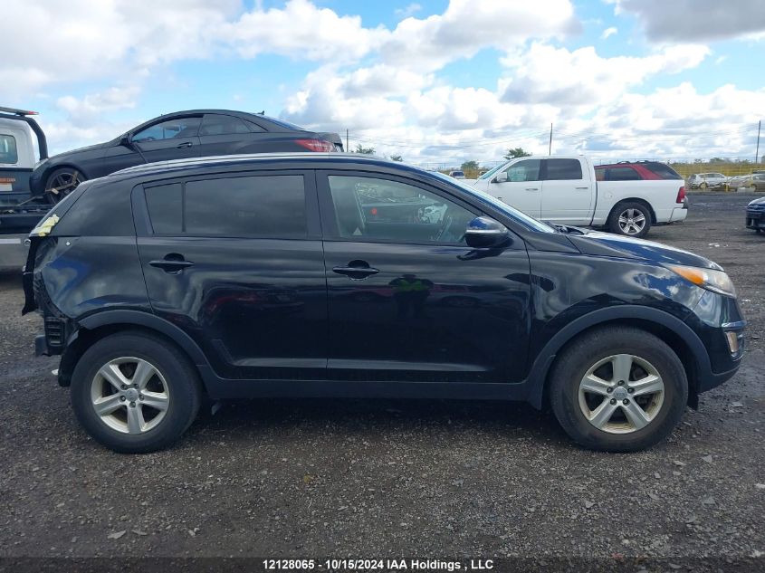 2014 Kia Sportage VIN: KNDPB3AC2E7648182 Lot: 12128065