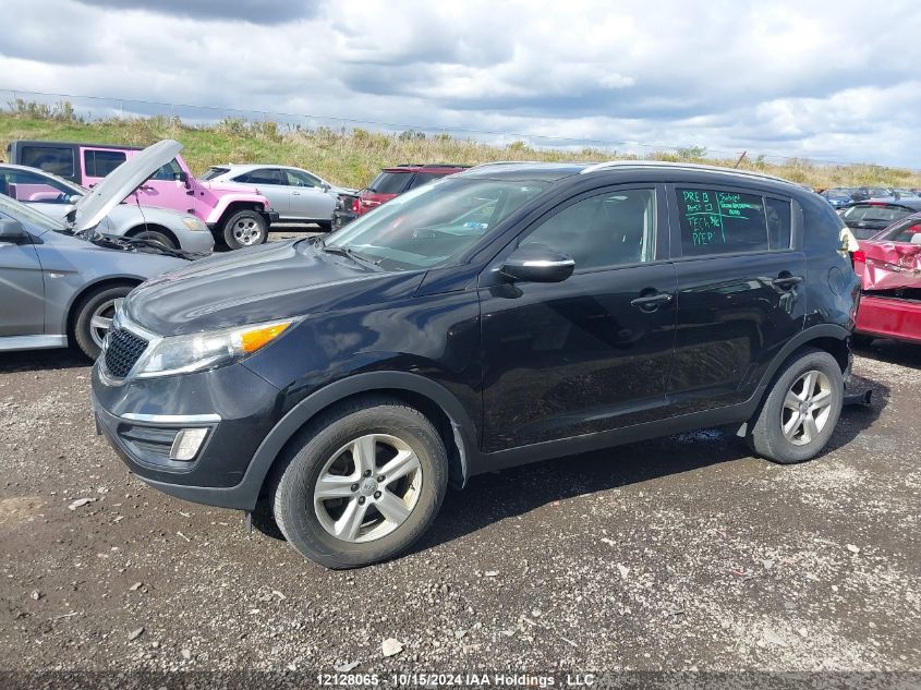 2014 Kia Sportage VIN: KNDPB3AC2E7648182 Lot: 12128065