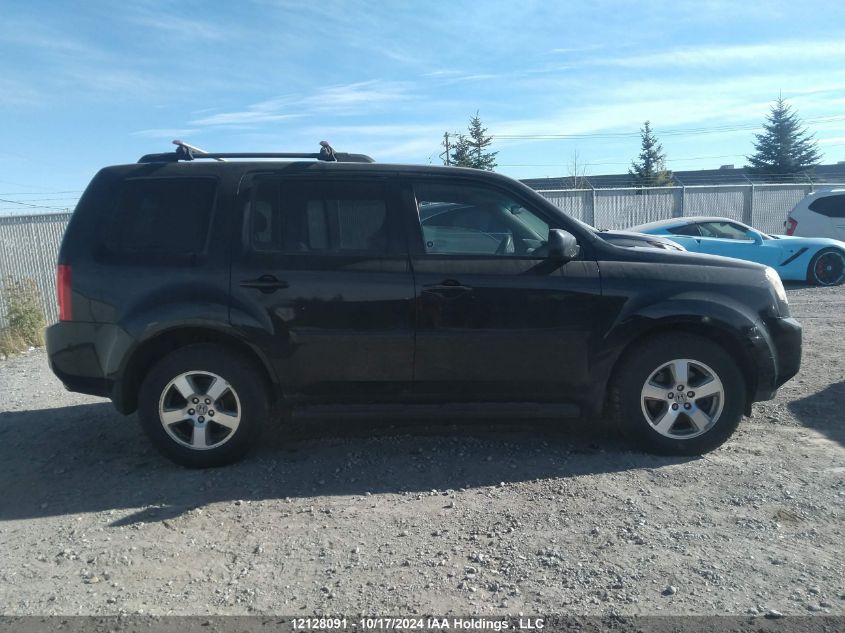 2010 Honda Pilot VIN: 5FNYF4H46AB504118 Lot: 12128091