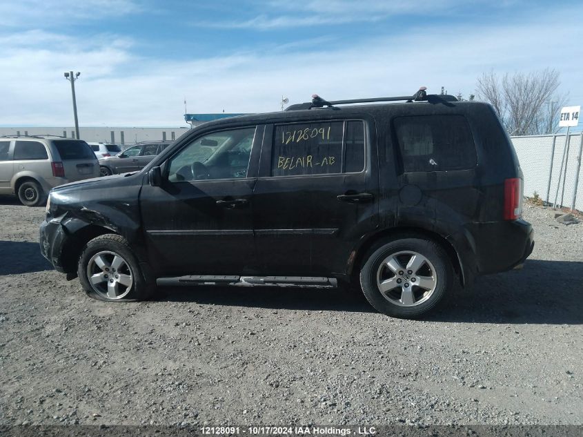 2010 Honda Pilot VIN: 5FNYF4H46AB504118 Lot: 12128091