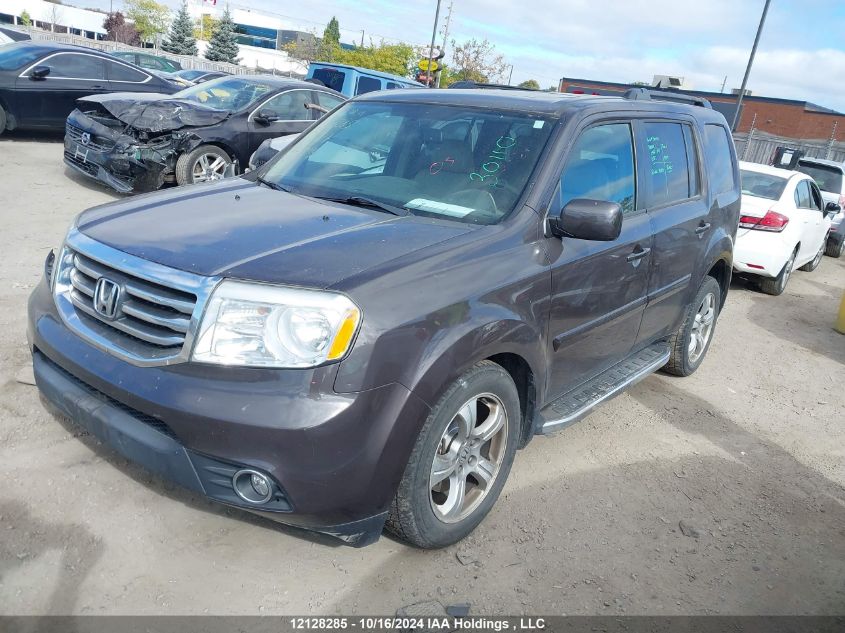 2014 Honda Pilot VIN: 5FNYF4H55EB504299 Lot: 12128285