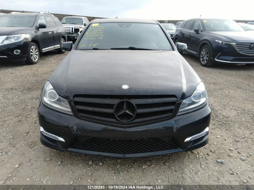 2014 Mercedes-Benz 300 VIN: WDDGF8ABXEA917255 Lot: 12128293