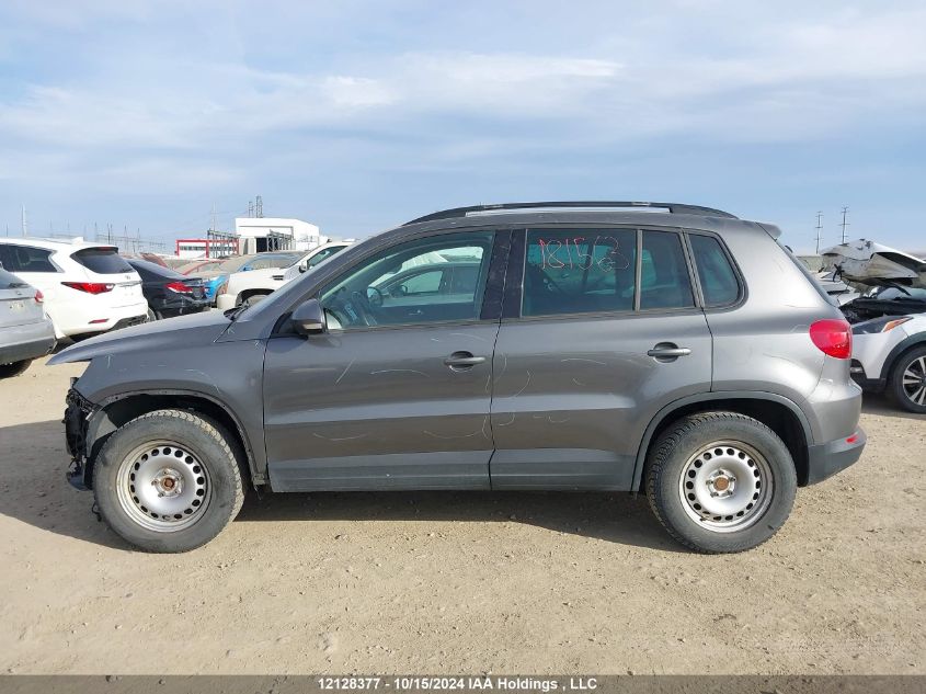 2016 Volkswagen Tiguan VIN: WVGKV7AX5GW537013 Lot: 12128377