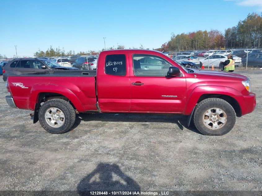 2009 Toyota Tacoma Access Cab VIN: 5TEUU42N79Z599191 Lot: 12128448