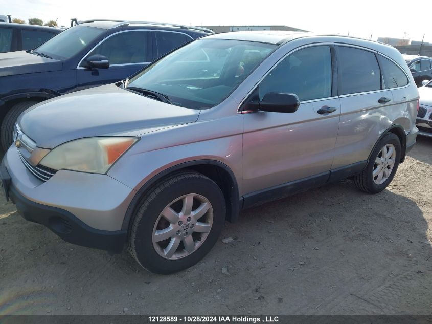 2007 Honda Cr-V VIN: 5J6RE48597L809919 Lot: 12128589