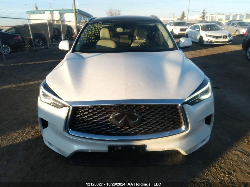 2019 Infiniti Qx50 VIN: 3PCAJ5M38KF127618 Lot: 12128827