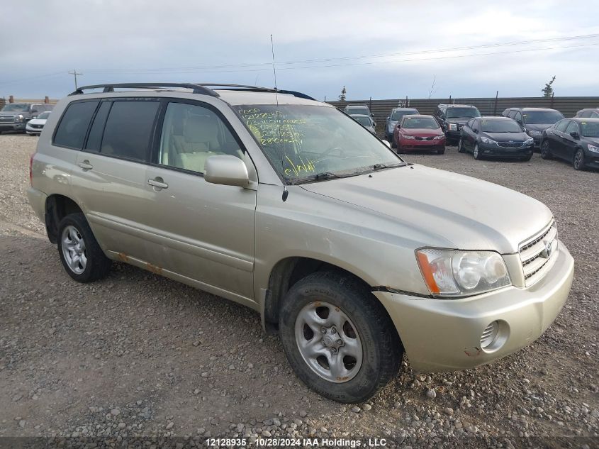 2003 Toyota Highlander VIN: JTEHD21A030020565 Lot: 12128935