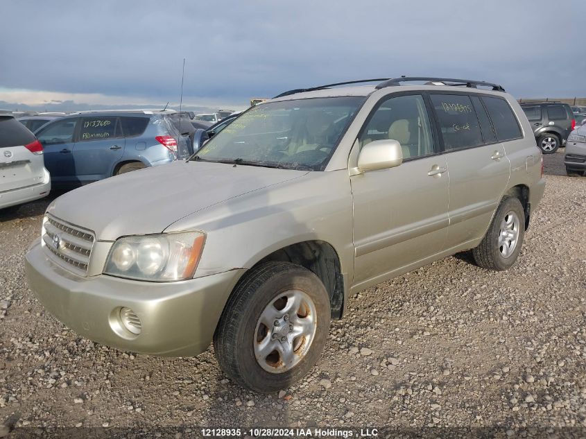 2003 Toyota Highlander VIN: JTEHD21A030020565 Lot: 12128935