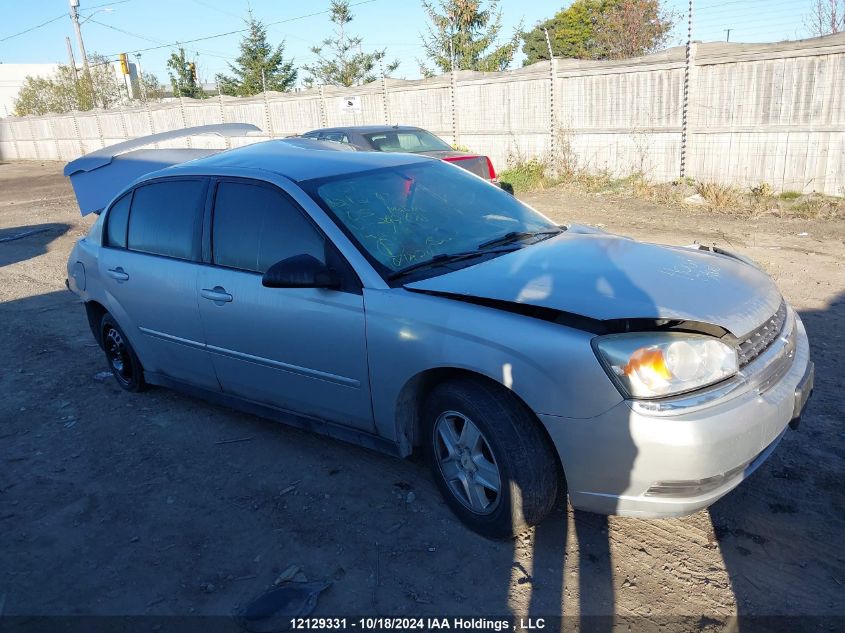 2005 Chevrolet Malibu VIN: 1G1ZS52F65F299698 Lot: 12129331