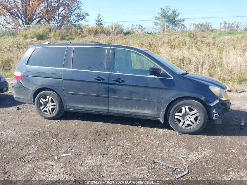 2007 Honda Odyssey VIN: 5FNRL38697B513784 Lot: 12129429