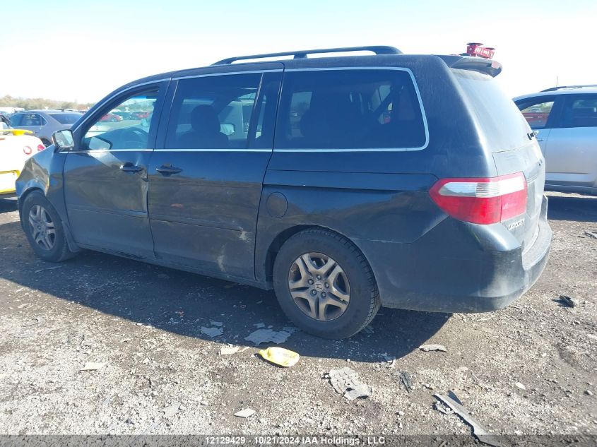 2007 Honda Odyssey VIN: 5FNRL38697B513784 Lot: 12129429