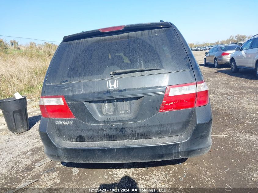 2007 Honda Odyssey VIN: 5FNRL38697B513784 Lot: 12129429