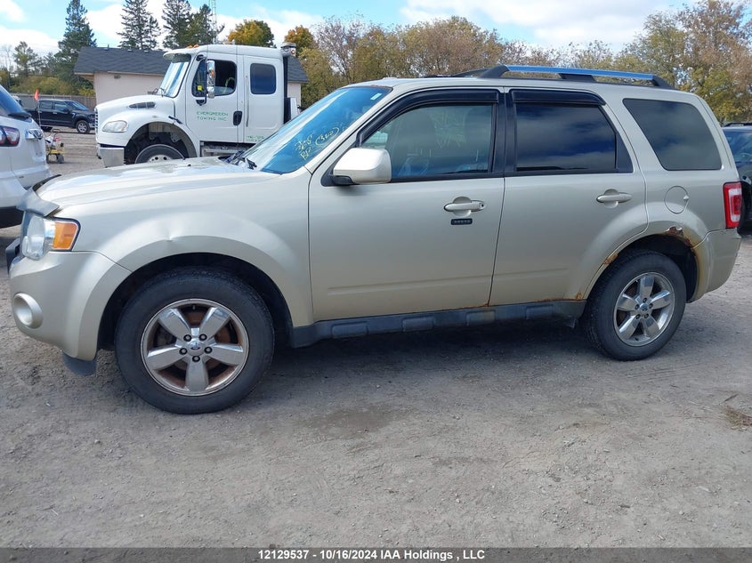 2011 Ford Escape Limited VIN: 1FMCU9EG8BKB37511 Lot: 12129537