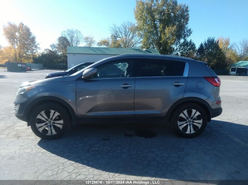 2013 Kia Sportage VIN: KNDPCCA23D7403670 Lot: 12129576