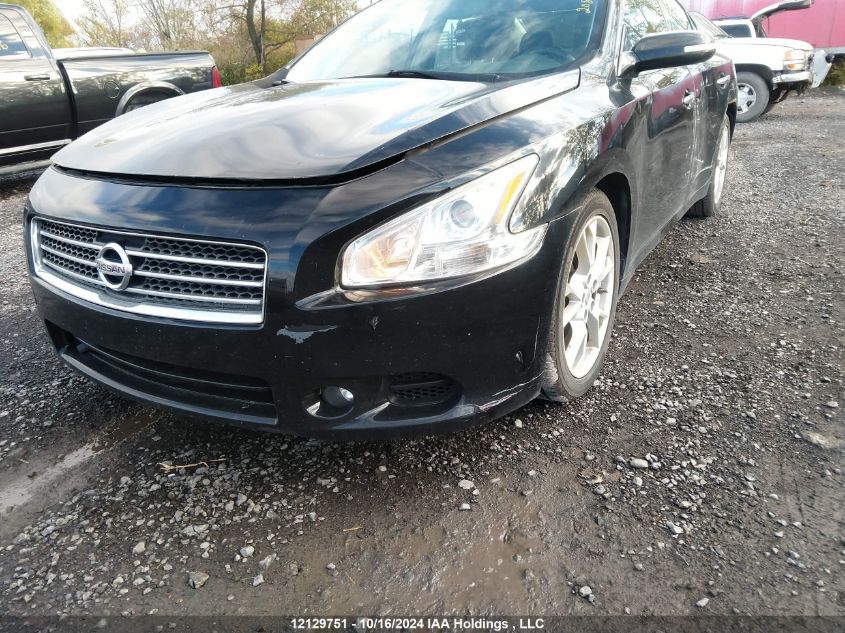 2013 Nissan Maxima S/Sv VIN: 1N4AA5AP7DC803912 Lot: 12129751