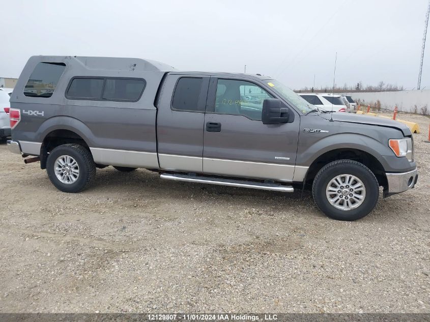 2011 Ford F-150 VIN: 1FTVX1ET7BKE05421 Lot: 12129807